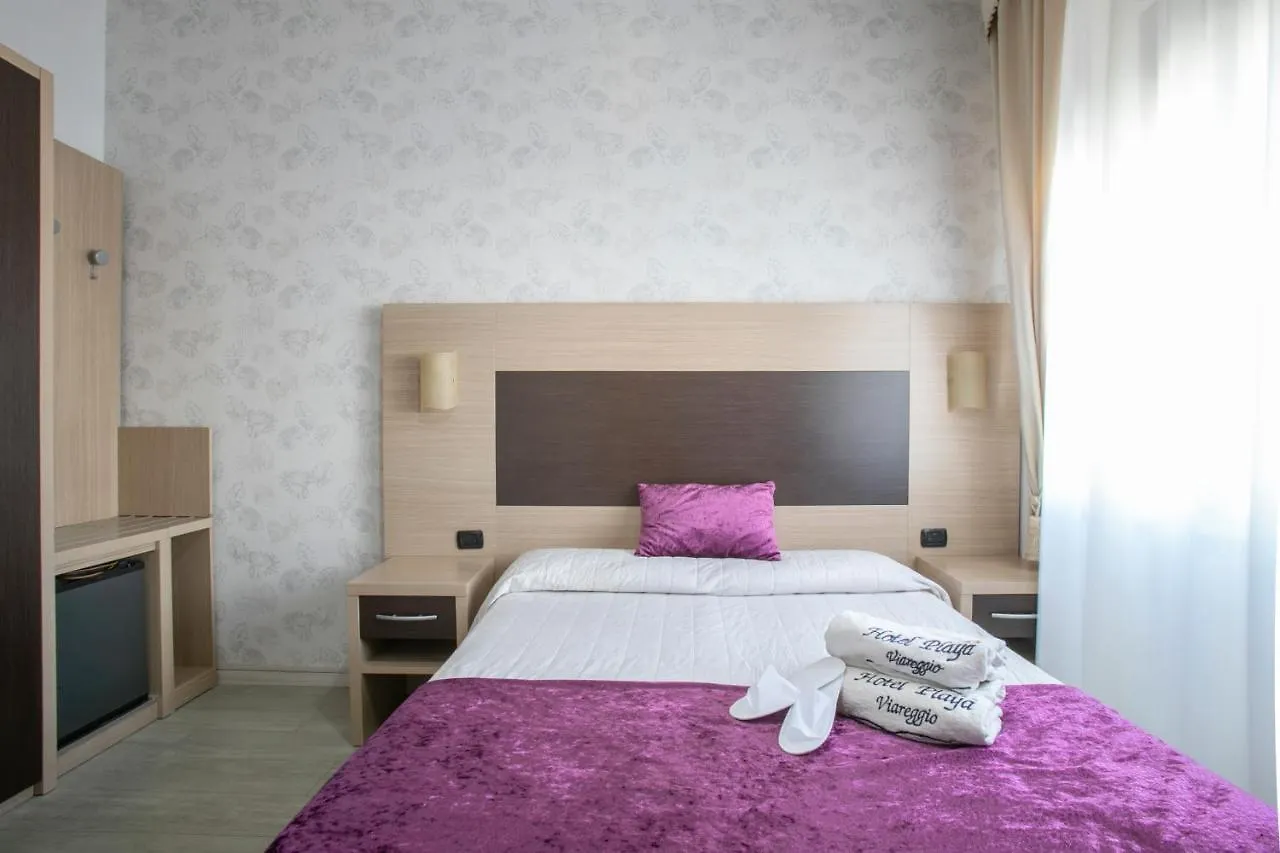 Hotel Playa Viareggio