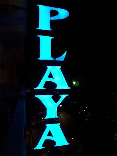 Hotel Playa Viareggio